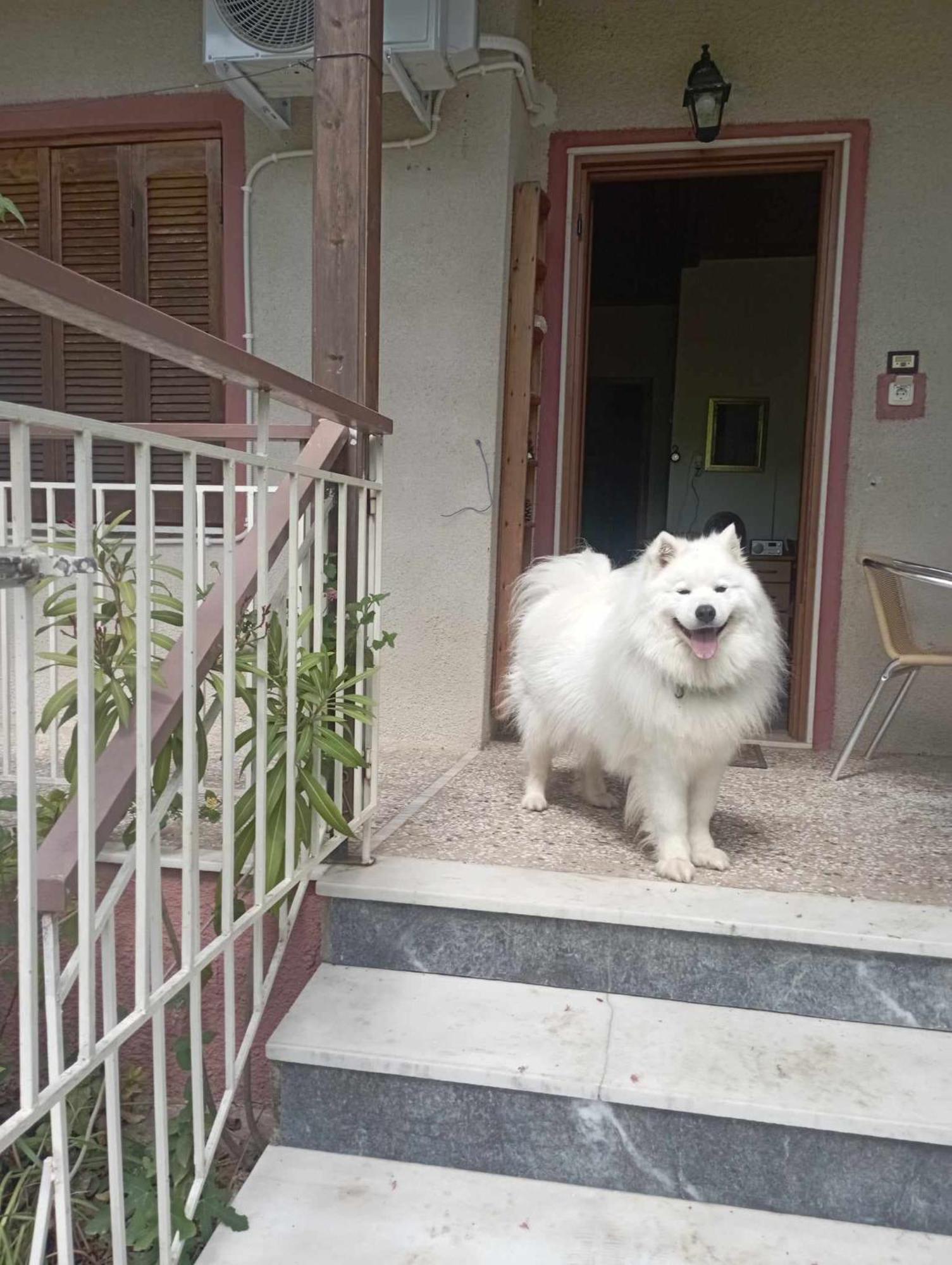 Α lovely home for a summer vacation Ασπροβάλτα Εξωτερικό φωτογραφία